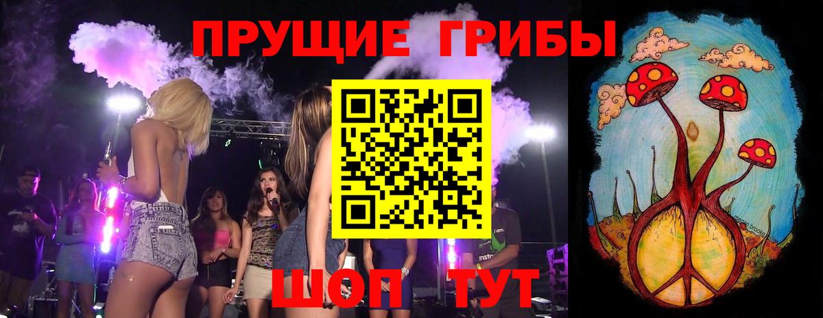 Псилоцибиновые грибы Psilocybe  Вход с VPN  Галлюциногенные грибы мицелий  Удомля 